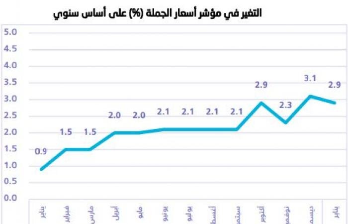 هيئة الإحصاء: معدل التضخم بأسعار الجملة بالمملكة يرتفع 2.9% خلال شهر يناير
