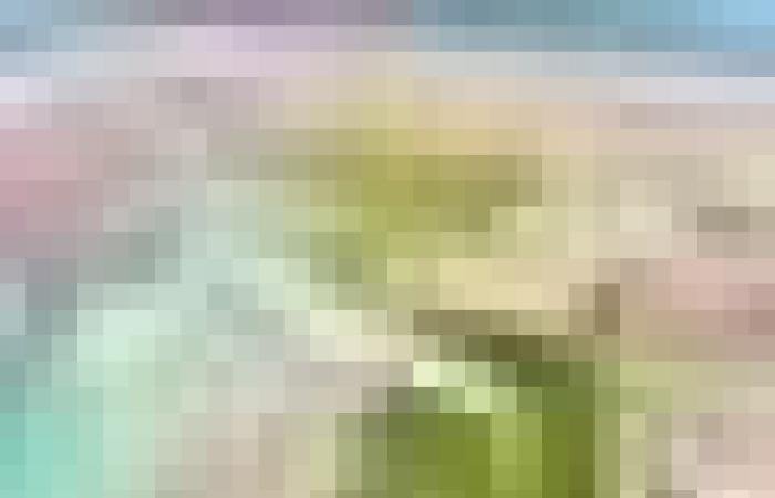 أخبار سلطنة عمان | خور القرم بالمصنعة يعزز التوازن البيئي ويشهد جهودًا مكثفة للتأهيل والاستزراع | عيون الجزيرة الاخبارية عمان