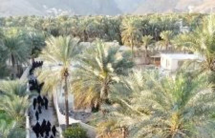 أخبار سلطنة عمان | 150 إمرأة يقطعن 3 كيلومترات بين مزارع العوابي | عيون الجزيرة الاخبارية عمان