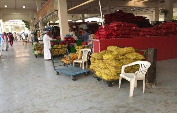 هيئة الإحصاء: معدل التضخم بأسعار الجملة بالمملكة يرتفع 2.9% خلال شهر يناير