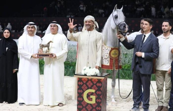 الرياضة الان | «دي سراج» لمربط دبي يتألق في ختام بطولة أبوظبي الدولية | عيون الجزيرة الرياضي