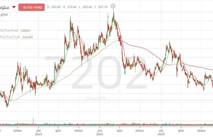 سهم "سلوشنز" يتصدر التراجعات ويهبط لأدنى مستوياته في أكثر من 4 سنوات ونصف