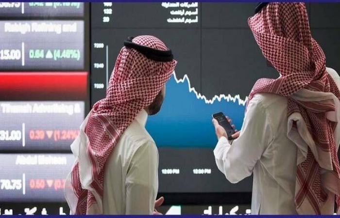 سهم "سلوشنز" يتصدر التراجعات ويهبط لأدنى مستوياته في أكثر من 4 سنوات ونصف