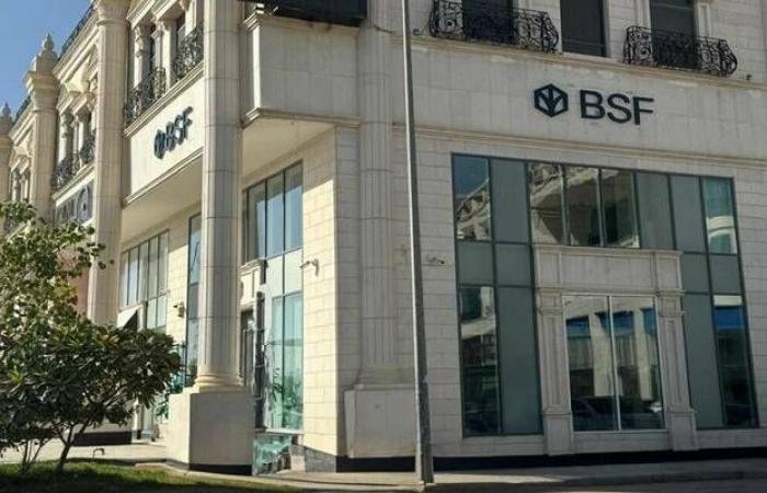 سهم "بي إس إف" يرتفع لأعلى مستوياته في عامين