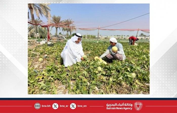 أخبار البحرين | بإنجاز يعكس ريادة القطاع الزراعي.. تكريم أربع قرى بحرينية ضمن مبادرة رئيس منظمة الأغذية والزراعة للأمم المتحدة (الفاو) لتكريم القرى الزراعية | عيون الجزيرة