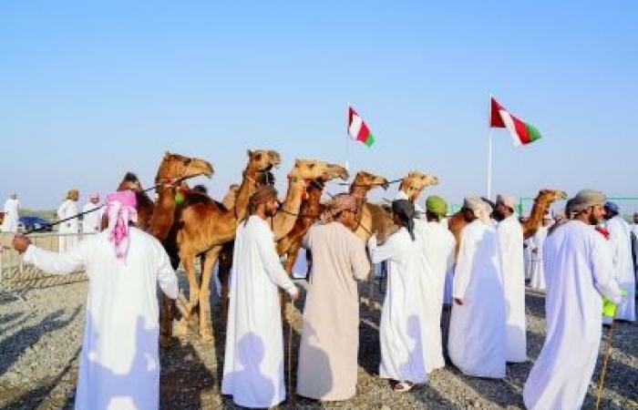 أخبار سلطنة عمان | إسدال الستار على النسخة الخامسة من مهرجان شناص التراثي | عيون الجزيرة الاخبارية عمان