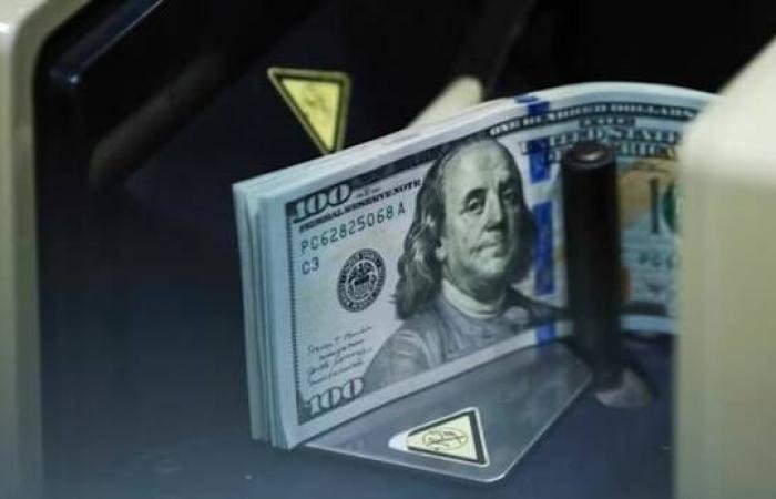 مديرو الصناديق يتبنون النظرة الأكثر تشاؤماً تجاه الدولار منذ 2012