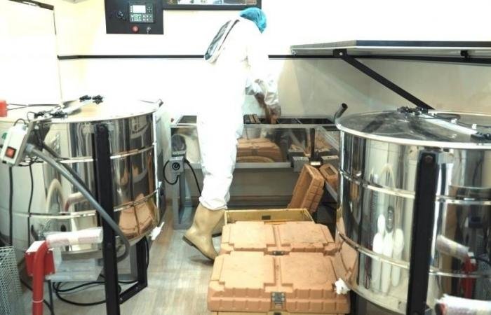 أخبار السعودية | النحالون رواد أعمال إلكترونيا | عيون الجزيرة السعودية الان