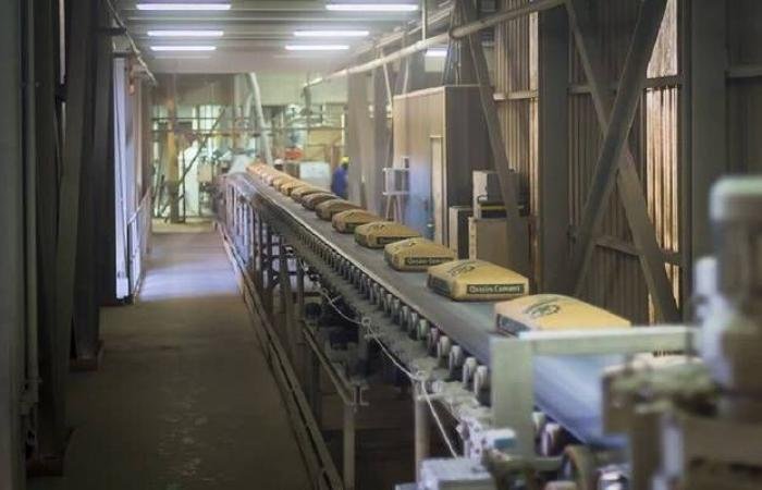 أرباح "أسمنت القصيم" تتراجع إلى 259.9 مليون ريال في 2025