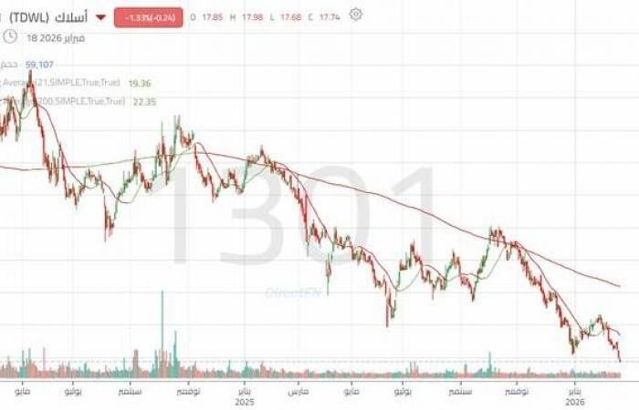 الدببة تسيطر على حركة سهم "أسلاك"