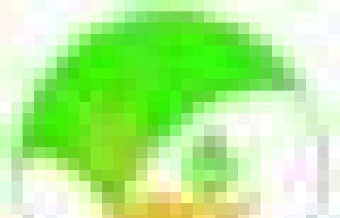 أخبار سلطنة عمان | زكاة بهلا تودع أكثر من 58 ألف ريال في حسابات  934  أسرة | عيون الجزيرة الاخبارية عمان