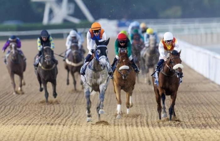 الرياضة الان | 86 خيلاً في الأمسية الـ 13 من كرنفال سباقات دبي اليوم | عيون الجزيرة الرياضي