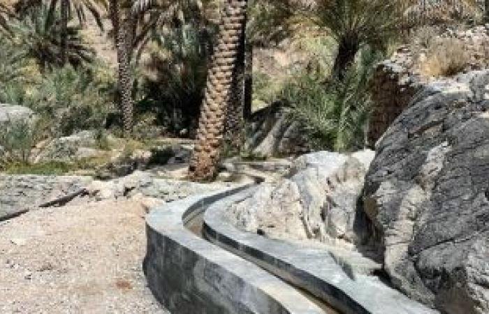 أخبار سلطنة عمان | نظام ريّ لتبديل فلج الغريض بنخل بين الصيف والشتاء | عيون الجزيرة الاخبارية عمان