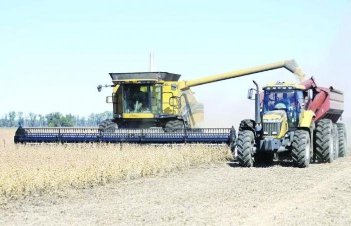 شيكاغو.. فول الصويا بأعلى سعر في 3 أشهر بدعم توقعات الطلب الصيني