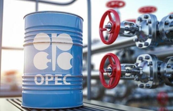 تحالف أوبك+ يتوقع زيادة إمدادات النفط بدءاً من أبريل