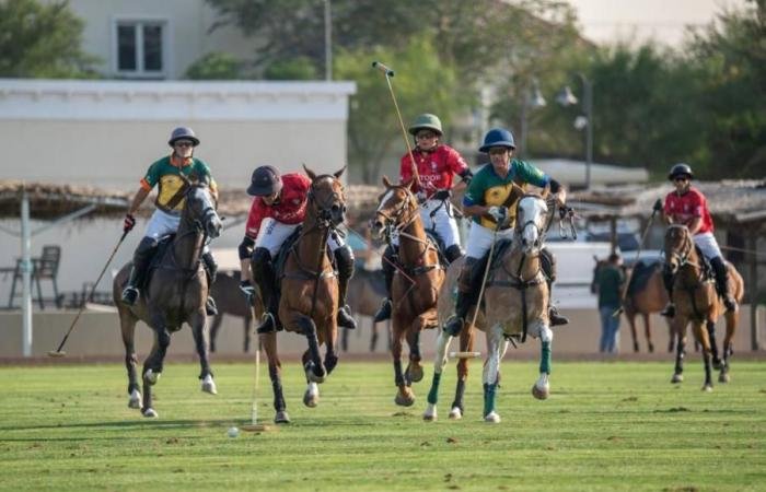 الرياضة الان | «آر جي إف» ينفرد بصدارة دوري الحبتور | عيون الجزيرة الرياضي