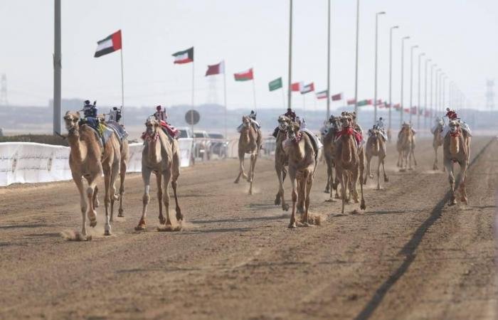 الرياضة الان | المهرجان الختامي السنوي للهجن ينطلق اليوم | عيون الجزيرة الرياضي