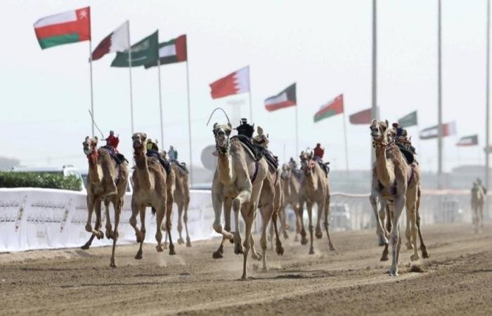 الرياضة الان | انطلاقة قوية للمهرجان الختامي للهجن في الوثبة | عيون الجزيرة الرياضي