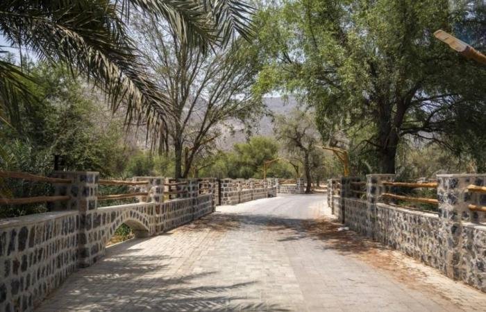 الامارات الان | الشرقي: الفجيرة تولي اهتماماً خاصاً بالحفاظ على القرى التراثية والبيئة الطبيعية | عيون الجزيرة الامارات