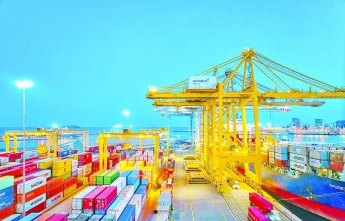 «فيتش» تؤكد تصنيف «موانئ دبي» عند «+BBB» مع نظرة مستقرة