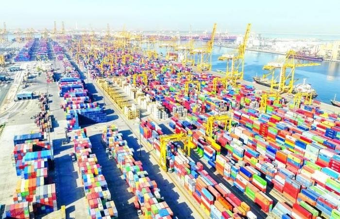 «دي بي ورلد»: «ميناء جبل علي» يعمل بشكل اعتيادي