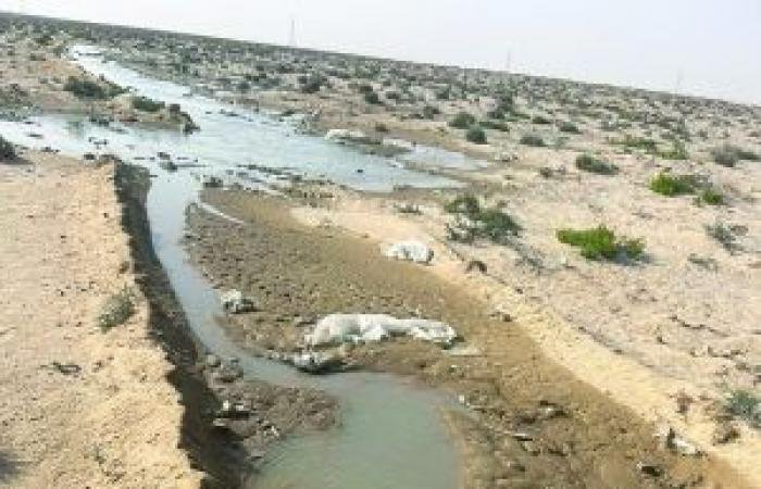 أخبار سلطنة عمان | ضبط مصنع مخالف للاشتراطات في جنوب الشرقية | عيون الجزيرة الاخبارية عمان