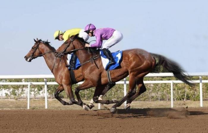 الرياضة الان | 7 أشواط في السباق الـ13 بمضمار أبوظبي | عيون الجزيرة الرياضي