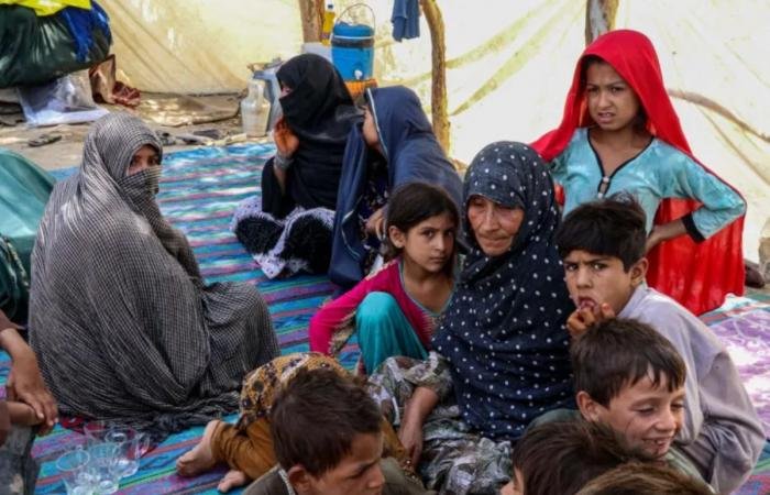 الأمم المتحدة: نزوح 118 ألف شخص جراء اشتباكات أفغانستان وباكستان | عيون الجزيرة