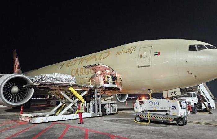 «لولو»: رحلات لشحن مواد غذائية إلى الإمارات