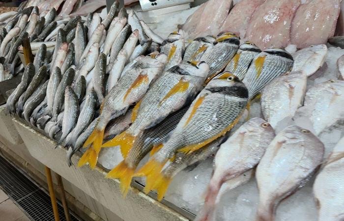أخبار الكويت | سوق السمك يعمل بشكل طبيعي.. وكميات الأسماك المحلية المعروضة «مطمئنة» | عيون الجزيرة الكويت