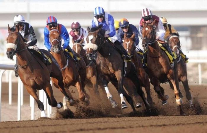 الرياضة الان | 958 ألف درهم تشعل الإثارة بين 85 خيلاً في مضمار جبل علي | عيون الجزيرة الرياضي