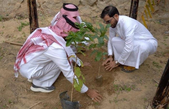 أخبار السعودية | العملاق الأخضر لدعم زراعة البن المحلي | عيون الجزيرة السعودية الان