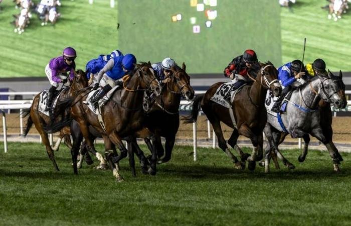 الرياضة الان | 112 خيلاً في الأمسية الأخيرة بكرنفال سباقات دبي | عيون الجزيرة الرياضي