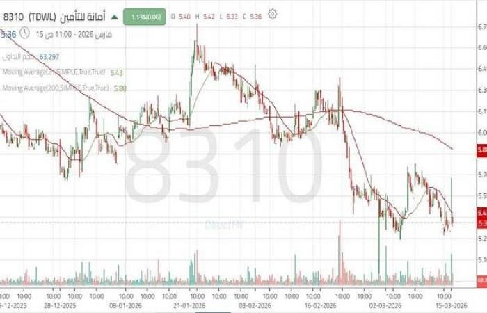 سهم "أمانة للتأمين" يختبر مقاومة رئيسية بعد الارتداد من قاع تاريخي