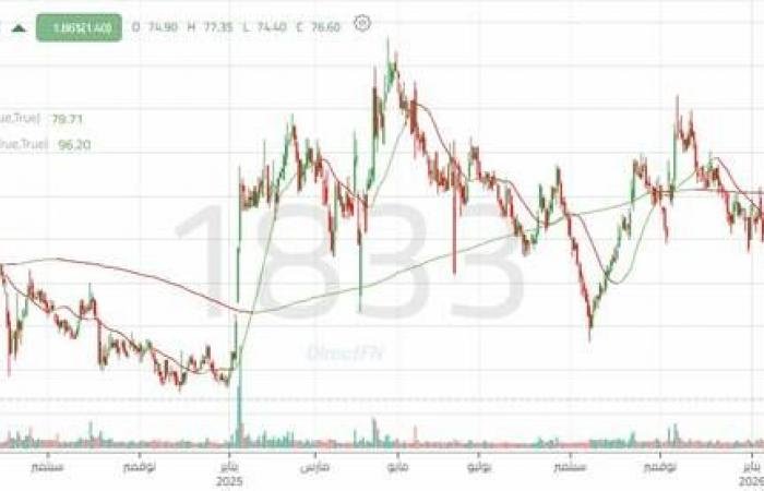 سهم "الموارد" يستقر دون دعم مهم.. تعرف على الدعوم التالية