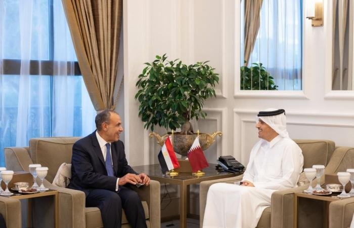 أخبار قطر |  رئيس الوزراء وزير الخارجية يستقبل وزير الخارجية المصري | عيون الجزيرة قطر