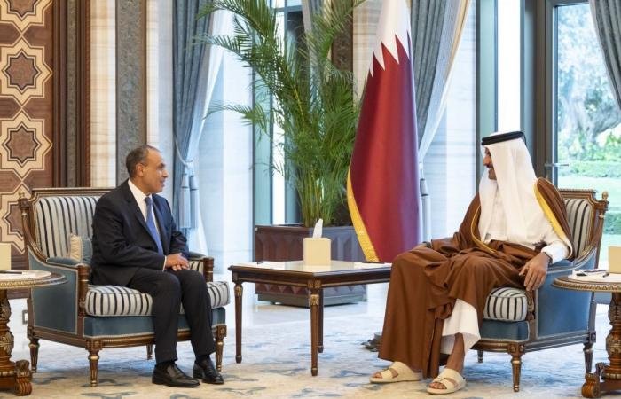 أخبار قطر | سمو الأمير يتلقى رسالة من الرئيس المصري | عيون الجزيرة قطر