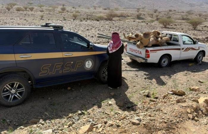 أخبار السعودية | %84 من مخالفي نظام البيئة مواطنون | عيون الجزيرة السعودية الان