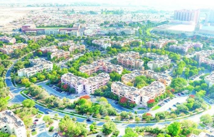 بيع قطعة أرض في دبي بـ 127.5 مليون درهم