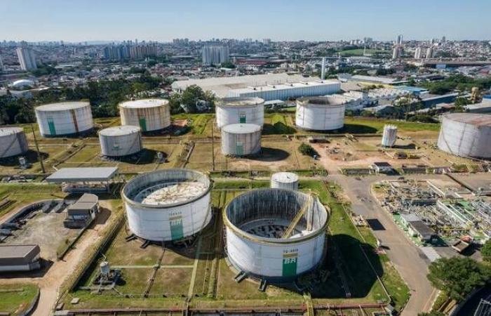 صدمة الأسعار نعمة لأسهم النفط.. ونقمة للطاقة المتجددة