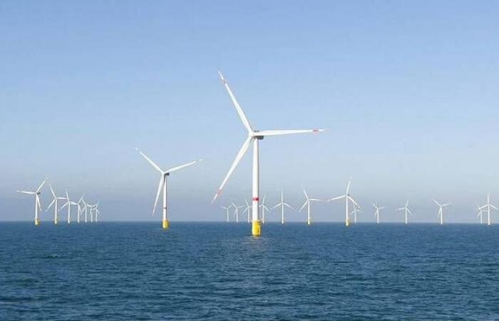 أمريكا تدفع مليار دولار تعويضاً لـ"توتال إنيرجيز" لإلغاء مزارع الرياح