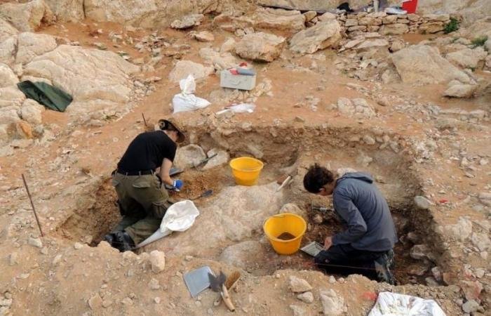 الامارات الان | حكومة الشارقة تفتح باب التقديم للباحثين الدوليين لمنح بحثية أثرية قصيرة المدى | عيون الجزيرة الامارات