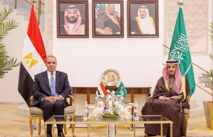 السعودية ومصر تُدينان الاعتداءات الإيرانية على المملكة ودول عربية | عيون الجزيرة