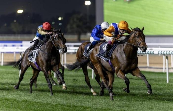 الرياضة الان | فائزون من 5 دول يحتفلون بالنجاح في «كرنفال سباقات دبي» | عيون الجزيرة الرياضي