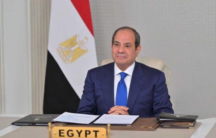 الرئيس المصري يؤكد المصير المشترك ووحدة الأمن القومي بين بلاده ودول الخليج | عيون الجزيرة