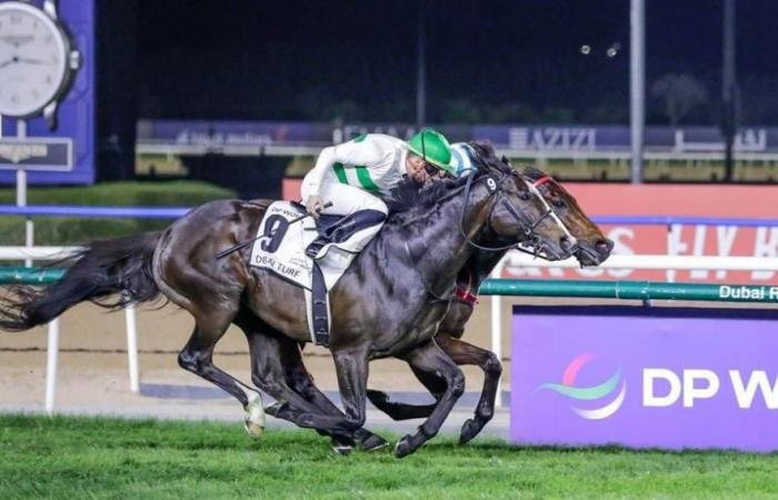 الرياضة الان | «دي بي ورلد» ترعى سباق دبي تيرف في أمسية الكأس العالمي | عيون الجزيرة الرياضي
