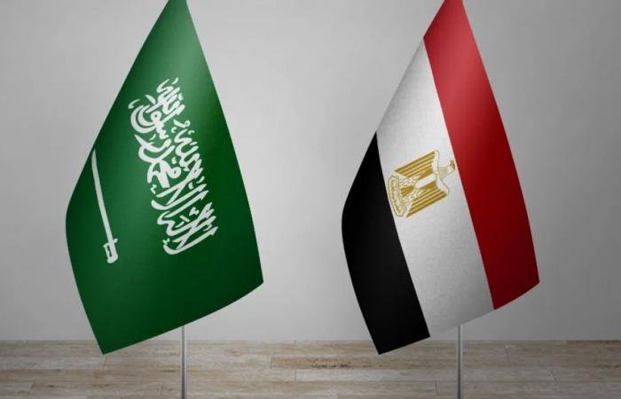 الرئيس المصري يصل إلى جدة للقاء ولي العهد السعودي | عيون الجزيرة