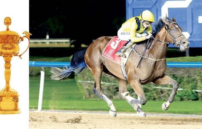 الرياضة الان | نخبة خيول العالم تتأهب لملحمة «كأس دبي العالمي 2026» | عيون الجزيرة الرياضي