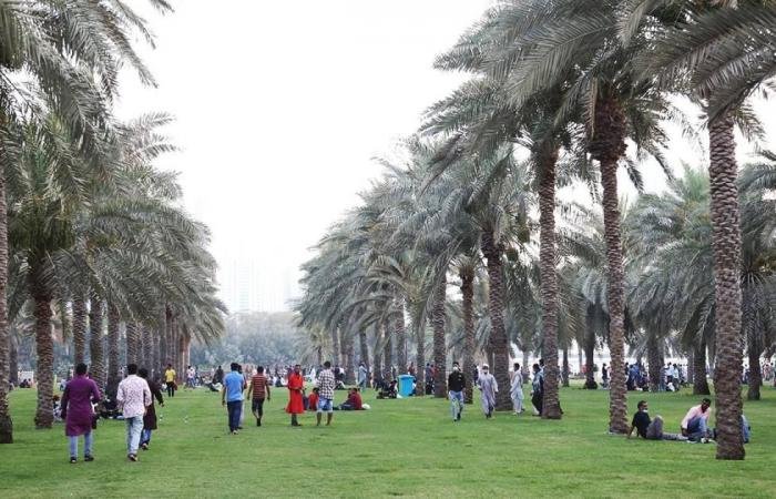 الامارات الان | الإمارات.. واحة الأمان للمقيمين في مواجهة التحديات العالمية | عيون الجزيرة الامارات