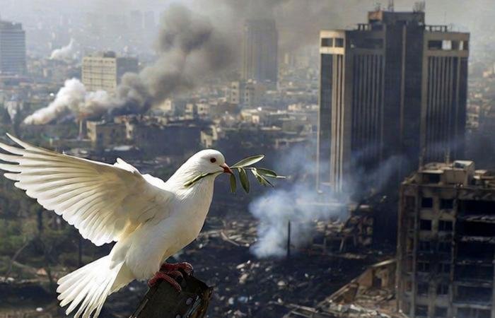 أخبار الكويت | مسؤول ايراني: طهران تدرس حالياً مقترحا أميركيا لإنهاء الحرب | عيون الجزيرة الكويت